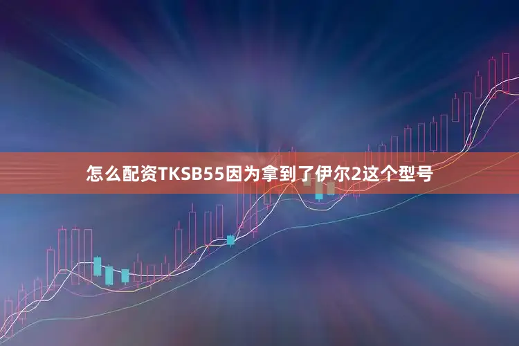 怎么配资TKSB55因为拿到了伊尔2这个型号