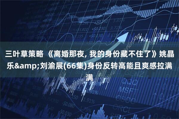 三叶草策略 《离婚那夜, 我的身份藏不住了》姚晶乐&刘渝展(66集)身份反转高能且爽感拉满