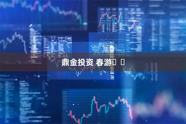 鼎金投资 春游⛰️