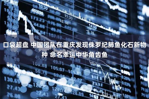 口袋超盘 中国团队在重庆发现侏罗纪肺鱼化石新物种 命名幸运中华角齿鱼
